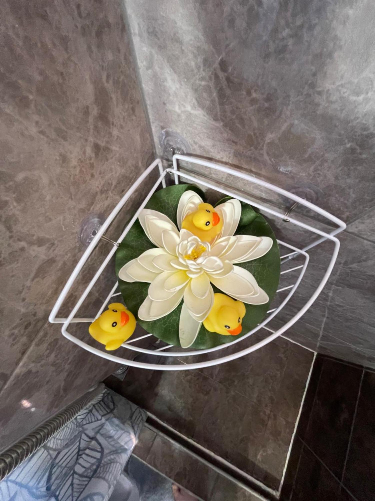 Apartment Maki Kotor Zewnętrze zdjęcie